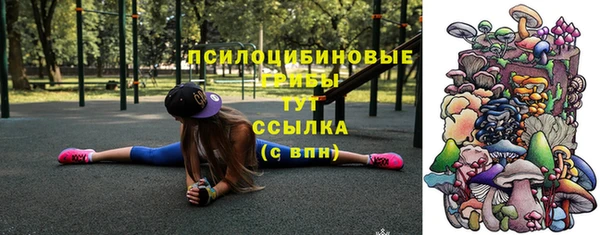 дживик Алексеевка