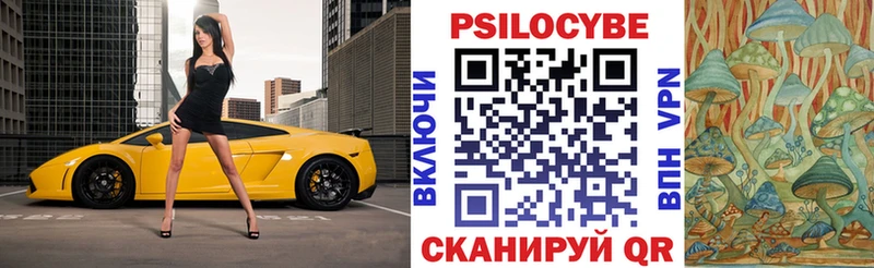 shop клад OMG ссылка Наволоки Галлюциногенные грибы прущие грибы